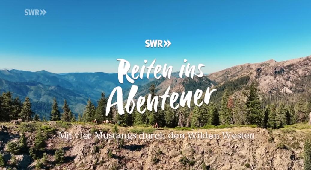 Mit vier Mustangs durch den Wilden Westen: